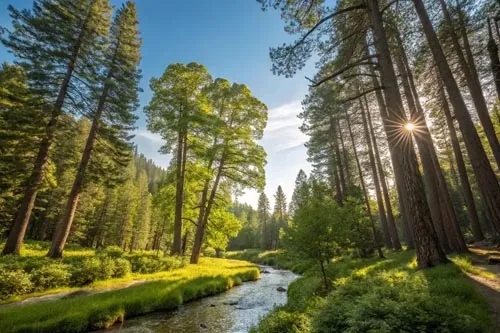 Звуки природы